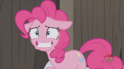 Size: 1234x692 | Tagged: safe, screencap, pinkie pie, earth pony, pony, g4, not asking for trouble, female, floppy ears, mare, smiling, solo