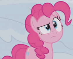 Size: 854x692 | Tagged: safe, screencap, pinkie pie, earth pony, pony, g4, not asking for trouble, confused, cropped, female, mare, solo