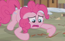 Size: 1077x692 | Tagged: safe, screencap, pinkie pie, earth pony, pony, g4, not asking for trouble, cropped, female, floppy ears, mare, sad, solo, twig