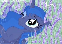Size: 4032x2880 | Tagged: safe, artist:darkest-lunar-flower, princess luna, alicorn, pony, g4, anime style, chest fluff, cute, female, flower, grass, high res, hilarious in hindsight, lavender, lunabetes, on back, one eye closed, smiling, solo, that pony sure does love lavender, when she smiles