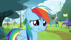 Size: 1920x1080 | Tagged: safe, screencap, bluebell, flitter, merry may, parasol, rainbow dash, sunshower raindrops, pony, g4, rainbow falls, female, flag, mare, rainbow, smiling, smirk, solo, tent