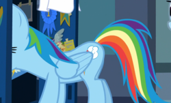 Size: 1012x610 | Tagged: safe, screencap, rainbow dash, pegasus, pony, g4, parental glideance, blue ribbon, cropped, female, locker room, mare, solo