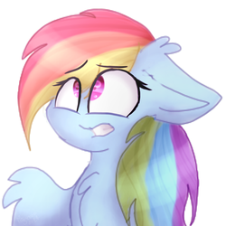 Size: 1024x1024 | Tagged: safe, artist:tizhonolulu, rainbow dash, pony, g4, female, floppy ears, no nose, one wing out, scared, simple background, solo, white background, wide eyes