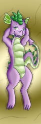 Size: 689x2067 | Tagged: safe, artist:bronyxxi, spike, dragon, g4, adult, adult barb, adult spike, arm behind head, barb, bed, bedroom eyes, blanket, body pillow, body pillow design, gold, greed barb, greed spike, impressions, looking at you, lying down, older, older spike, on back, rule 63, smiling, solo