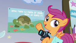 Size: 1920x1090 | Tagged: safe, screencap, scootaloo, pony, tortoise, g4, parental glideance, camera, female, poster, solo