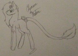 Size: 1024x733 | Tagged: safe, artist:anxiouslilnerd, oc, oc only, oc:chanson de nature, pony, closed species, leonine tail, rosey ponies, solo, traditional art