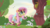 Size: 3840x2160 | Tagged: safe, artist:donnyku, artist:eagle1division, angel bunny, fluttershy, bird, pegasus, pony, rabbit, g4, rainbow falls, clothes, cute, dress, female, flower, flower in hair, forest, grass, high res, mare, outdoors, raised hoof, raised leg, shyabetes, solo, transitional skies, twilight (astronomy), vector