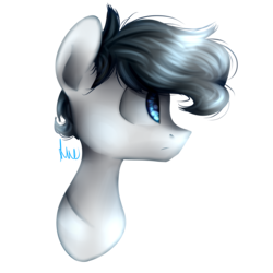 Size: 2000x2000 | Tagged: safe, artist:vanillashineart, oc, oc only, pony, bust, high res, male, portrait, simple background, solo, stallion, transparent background