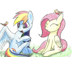 Size: 1024x817 | Tagged: safe, artist:coloringrainclouds, fluttershy, rainbow dash, bird, pegasus, pony, g4, duo, eyes closed, simple background, sitting, smiling, traditional art, white background