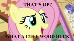 Size: 1280x720 | Tagged: safe, edit, edited screencap, editor:korora, screencap, fluttershy, fluttershy leans in, g4, cute, female, happy, op is a duck (reaction image), reaction image, shyabetes, solo, text