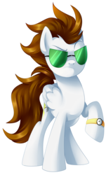 Size: 696x1149 | Tagged: safe, artist:limply_swamp, oc, oc only, oc:ateren steelbender, pegasus, pony, brown hair, commission, looking at you, male, pose, simple background, solo, sunglasses, transparent background, watch, wings