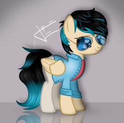 Size: 897x891 | Tagged: safe, artist:aldobronyjdc, oc, oc only, oc:aldenzbeat, pegasus, pony, clothes, solo, sunglasses