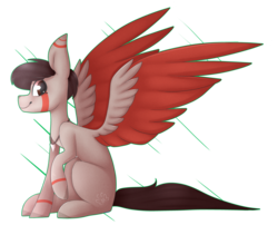 Size: 4201x3396 | Tagged: safe, artist:umiimou, oc, oc only, oc:jack, pegasus, pony, colored wings, high res, looking at you, male, multicolored wings, pegasus oc, profile, side view, simple background, sitting, smiling, smiling at you, solo, spread wings, stallion, transparent background, wings
