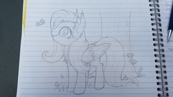 Size: 2560x1440 | Tagged: safe, artist:bigshot232, fluttershy, butterfly, pony, g4, cheek fluff, chest fluff, ear fluff, female, folded wings, lined paper, looking at something, looking up, pencil drawing, smiling, solo, traditional art