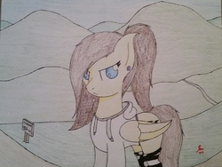 Size: 2577x1940 | Tagged: safe, artist:lunarspectrum, oc, oc only, oc:yoru, pegasus, pony, clothes, ear piercing, earring, hoodie, jewelry, language barrier, mismatched socks, not happy, piercing, ponytail, simple background, socks, solo, striped socks, traditional art