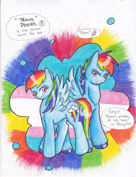 Size: 2552x3304 | Tagged: safe, artist:tristanjsolarez, big macintosh, rainbow dash, tex, oc, earth pony, pony, comic:trans ponies, g4, female, high res, male, mare, offscreen character, rainbow blitz, rule 63, stallion, traditional art, transgender