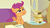 Size: 1920x1090 | Tagged: safe, screencap, scootaloo, pony, g4, parental glideance, aweeg*, female, food, pasta and potato sandwich on sourdough, puffy cheeks, sandwich, scrapbook, solo