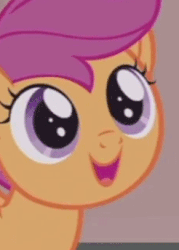 Size: 246x344 | Tagged: safe, screencap, scootaloo, pony, g4, hard to say anything, animated, cropped, cute, cutealoo, eye shimmer, female, gif, happy, looking up, solo