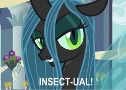 Size: 779x557 | Tagged: safe, edit, edited screencap, screencap, queen chrysalis, changeling, changeling queen, a canterlot wedding, g4, my little pony: friendship is magic, arlia, caption, dragon ball, dragonball z abridged, female, implied incest, solo