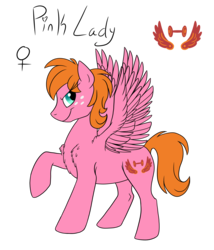Size: 1800x2100 | Tagged: safe, artist:pampoke, oc, oc only, oc:pink lady, pegasus, pony, chest fluff, female, freckles, mare, offspring, parent:big macintosh, parent:fluttershy, parents:fluttermac, simple background, solo, spread wings, transparent background, wings