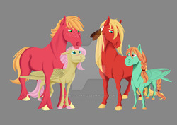 Size: 800x566 | Tagged: safe, artist:amaya-chans2, big macintosh, fluttershy, oc, oc:red delicious apple, oc:verde doncella apple, pony, g4, family, feather, feather in hair, female, gray background, male, offspring, parent:big macintosh, parent:fluttershy, parents:fluttermac, ship:fluttermac, shipping, simple background, straight