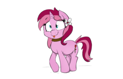 Size: 904x587 | Tagged: safe, artist:shoutingisfun, oc, oc only, oc:rosebud, pony, choker, flower, flower in hair, mlem, simple background, solo, tongue out, white background
