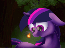 Size: 700x525 | Tagged: safe, artist:slamjam, twilight sparkle, pony, g4, animated, eye reflection, eyes on the prize, female, fire, forest, gif, reflection, solo, will o' the wisp