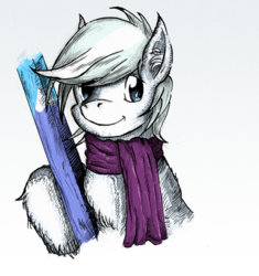 Size: 766x814 | Tagged: safe, artist:dreamingnoctis, double diamond, earth pony, pony, g4, clothes, gray background, male, scarf, simple background, skis, smiling, solo, unshorn fetlocks