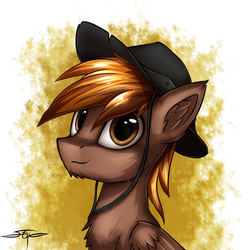 Size: 1000x1000 | Tagged: safe, artist:setharu, oc, oc only, oc:calamity, pegasus, pony, fallout equestria, bust, chest fluff, ear fluff, hat, looking at you, male, portrait, signature, smiling, solo, stallion