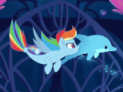 Size: 430x320 | Tagged: safe, rainbow dash, dolphin, pegasus, seapony (g4), g4, my little pony: the movie, animated, bubble, clothes, cropped, dorsal fin, eyelashes, faic, female, fin, fin wings, fins, fish tail, flowing mane, flowing tail, gif, glowing, mare, ocean, pink eyes, scales, seaponified, seapony rainbow dash, seaquestria, see-through, smug, smugdash, solo, species swap, swimming, tail, teeth, underwater, water, wings