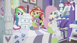 Size: 1136x638 | Tagged: safe, screencap, fluttershy, opalescence, rainbow dash, spike, spike the regular dog, sunset shimmer, dog, equestria girls, equestria girls specials, g4, my little pony equestria girls: dance magic, bed, bedroom, rarity's bedroom (equestria girls), sitting, teletoon