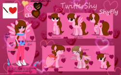 Size: 1024x641 | Tagged: safe, artist:twittershy, oc, oc only, oc:shyfly, pegasus, pony, equestria girls, g4, clothes, equestria girls-ified, female, reference sheet