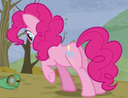 Size: 392x301 | Tagged: safe, screencap, pinkie pie, tank, earth pony, pony, g4, my little pony: friendship is magic, tanks for the memories, butt, cropped, female, mare, plot