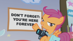 Size: 1920x1080 | Tagged: safe, edit, edited screencap, screencap, scootaloo, pony, g4, parental glideance, camera, don't forget you're here forever, female, meme, poster, solo