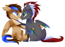 Size: 4381x3178 | Tagged: safe, artist:sorasku, oc, oc only, oc:chiptune, oc:mahx, pegasus, pony, colored wings, commission, gay, high res, looking at each other, male, multicolored wings, raised hoof, simple background, sitting, smiling, stallion, transparent background