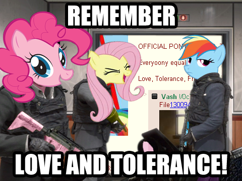 1447249 - artist needed, safe, fluttershy, pinkie pie, rainbow dash, pony,  g4, /co/, 4chan, artifact, call of duty, call of duty: modern warfare 2,  eyes closed, flutteryay, image macro, impact font, love