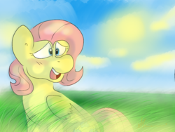 Size: 1024x768 | Tagged: safe, artist:faunaflight, fluttershy, pony, g4, cute, drawing, female, folded wings, grass, light, mare, nature, open mouth, scenery, sitting, smiling, solo, turned head