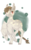 Size: 800x1280 | Tagged: safe, artist:laps-sp, oc, oc only, oc:silver fang, pegasus, pony, braided tail, female, mare, simple background, solo, transparent background