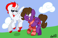 Size: 2605x1711 | Tagged: safe, artist:befishproductions, oc, oc only, oc:befish, oc:lucky knight, pegasus, pony, clothes, female, male, mare, signature, socks, stallion, striped socks, sunglasses