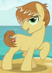 Size: 552x772 | Tagged: safe, screencap, feather bangs, earth pony, pony, g4, hard to say anything, cropped, male, solo, stallion, stupid sexy feather bangs