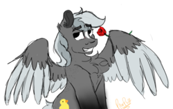 Size: 3000x1890 | Tagged: safe, artist:polar puff, oc, oc only, oc:gosling, pony, chest fluff, flower, rose, simple background, solo, white background