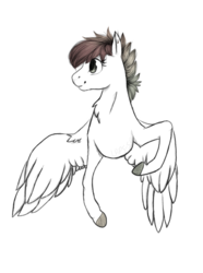 Size: 950x1280 | Tagged: safe, artist:laps-sp, oc, oc only, pegasus, pony, female, mare, simple background, solo, transparent background