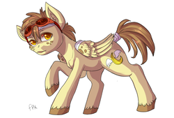 Size: 1018x690 | Tagged: dead source, safe, artist:php154, oc, oc only, oc:bananaphone, pegasus, pony, freckles, goggles, simple background, solo, unshorn fetlocks, white background