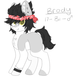 Size: 2048x2048 | Tagged: safe, artist:cinnamontee, oc, oc only, oc:brody, earth pony, pony, bandana, bisexuality, high res, male, simple background, solo, stallion, transparent background