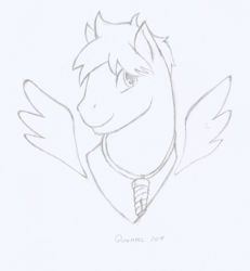 Size: 1252x1354 | Tagged: safe, artist:quinmael, oc, oc only, oc:bizarre song, pony, floating wings, monochrome, necklace, simple background, smiling, solo, traditional art, wings
