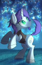 Size: 1280x1978 | Tagged: safe, artist:kawaiipony2, oc, oc only, oc:zenith astrum, pony, unicorn, clothes, colored pupils, commission, male, solo, stallion