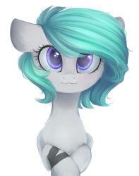 Size: 1560x1980 | Tagged: safe, artist:mp-printer, oc, oc only, pony, simple background, solo, white background