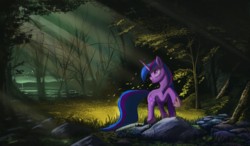 Size: 8640x5040 | Tagged: safe, artist:auroriia, twilight sparkle, pony, unicorn, g4, absurd file size, absurd resolution, crepuscular rays, female, forest, glade, grass, hoof boots, leaves, looking back, mare, raised hoof, rock, scenery, solo, sunlight, tree, unicorn twilight, water