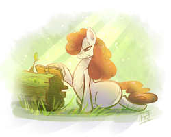 Size: 1500x1200 | Tagged: safe, artist:pimander1446, oc, oc only, earth pony, pony, book, female, log, mare, prone, solo