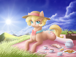 Size: 1024x768 | Tagged: safe, artist:novaintellus, oc, oc only, oc:tea flower, earth pony, pony, clothes, cookie, cup, female, food, grass, hat, looking at you, mare, picnic, prone, scenery, smiling, solo, stockings, sun, teacup, thigh highs
